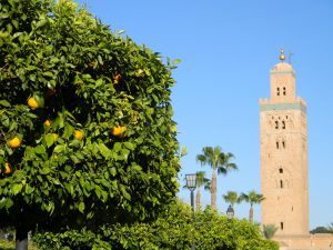 parks in Marrakech