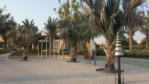 Abu Dhabi kids Mushrif park