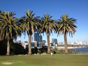 perth with kids