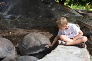 seychelles bambini tartarughe