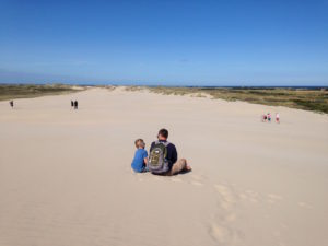 dune nord danimarca
