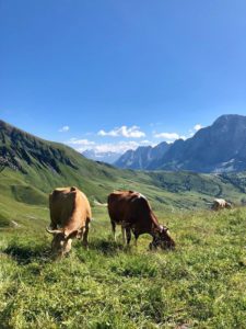 vacanza svizzera famiglia