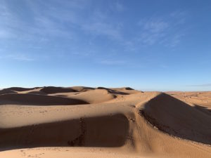 oman-desert-oryx-camp