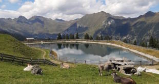 valle-racines