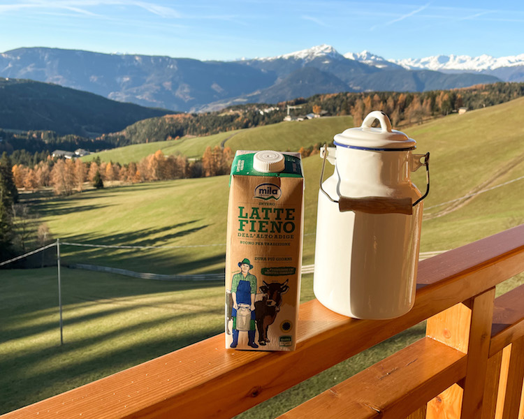 Fieno di Montagna sezione di balletta - 5kg per Conigli Alta Qualita' del  Trentino - artigianale