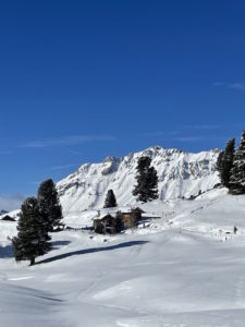 bellamonte-inverno-sentieri